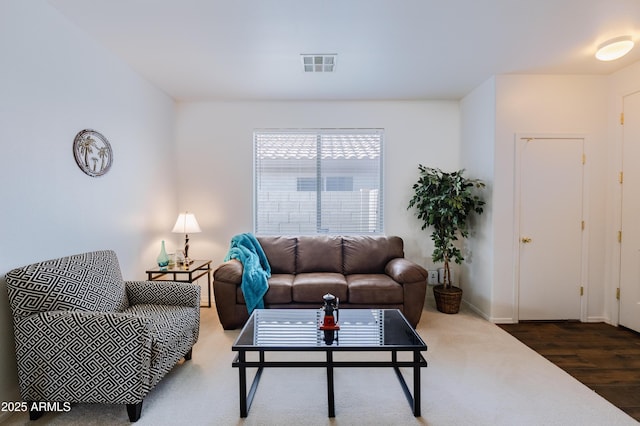 living room featuring dark wood-type flooring