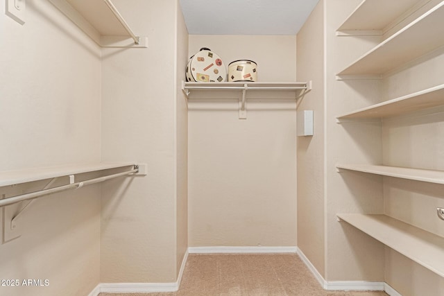 walk in closet featuring carpet floors