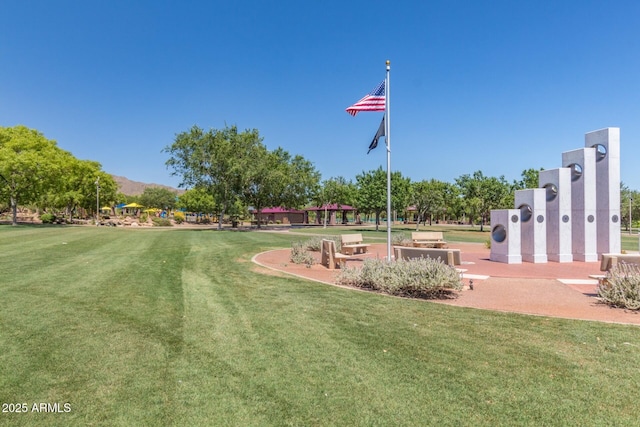 view of community with a lawn