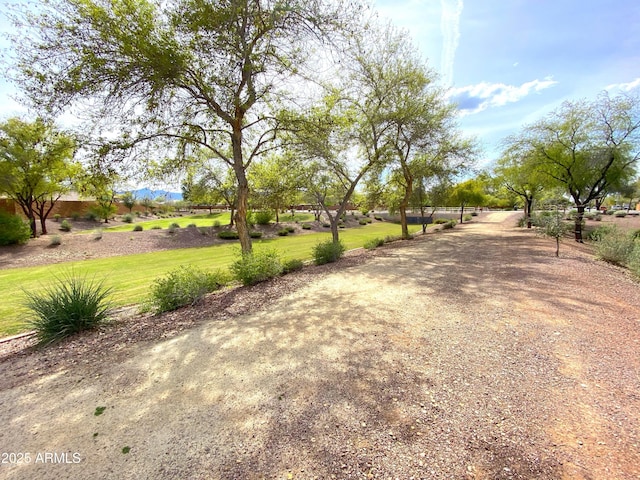 view of yard with a rural view