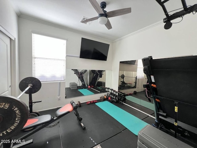 workout room featuring ceiling fan and crown molding