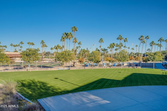 view of property's community with a yard