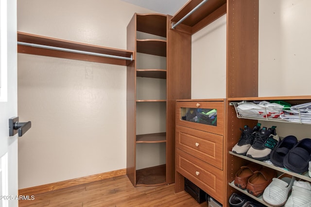 spacious closet with light wood-type flooring