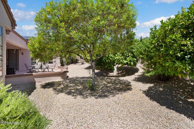16158 W Copper Point Ln, Surprise, AZ 85374 - view of yard featuring a patio