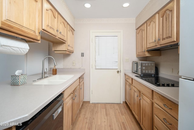 kitchen featuring under cabinet range hood, light countertops, black electric stovetop, and a sink