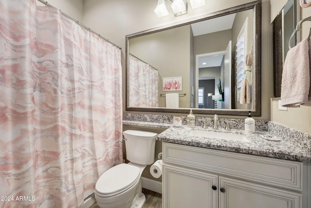 bathroom featuring toilet, vanity, and wood-type flooring