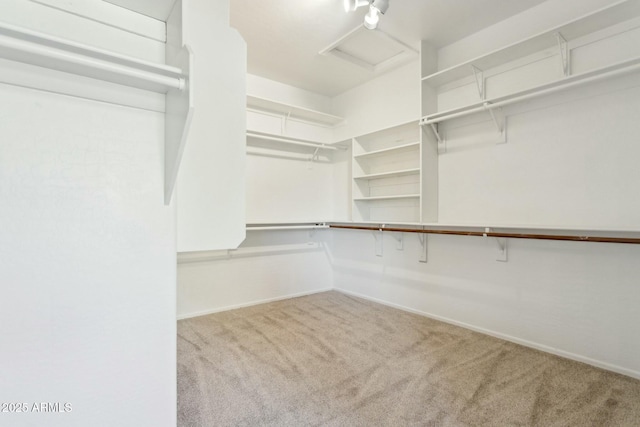 walk in closet with carpet flooring