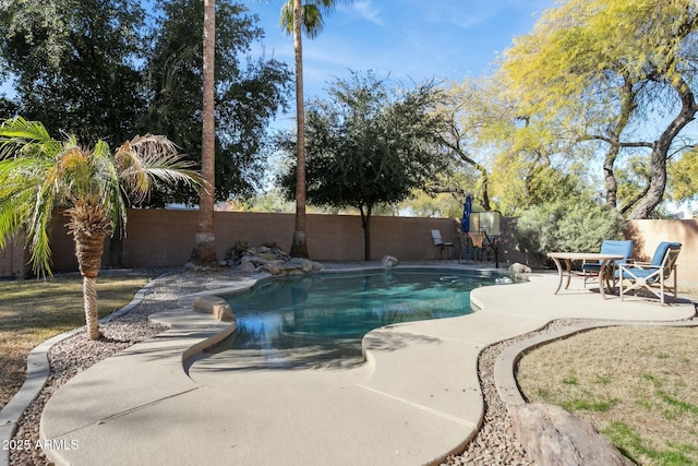 view of swimming pool with a patio