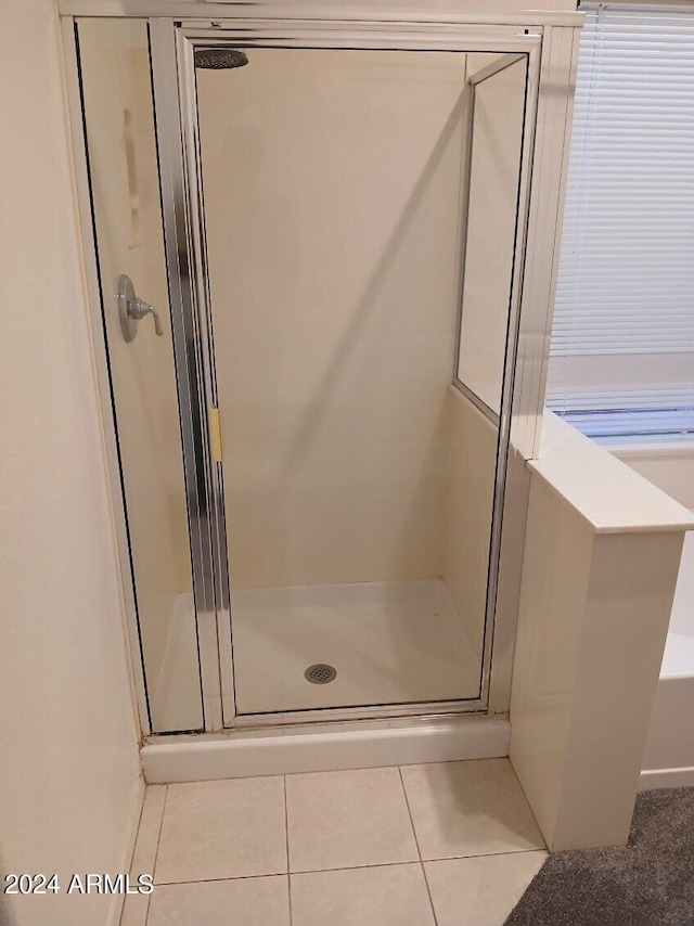 1970 W Park Pl, Chandler, AZ 85224 - full bath with a shower stall, tile patterned floors, and a bath