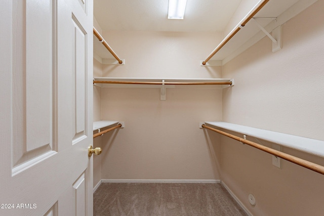 spacious closet featuring carpet floors