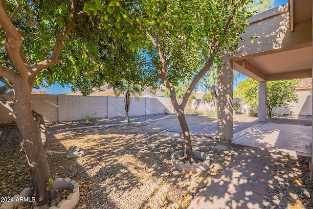 view of yard featuring a patio