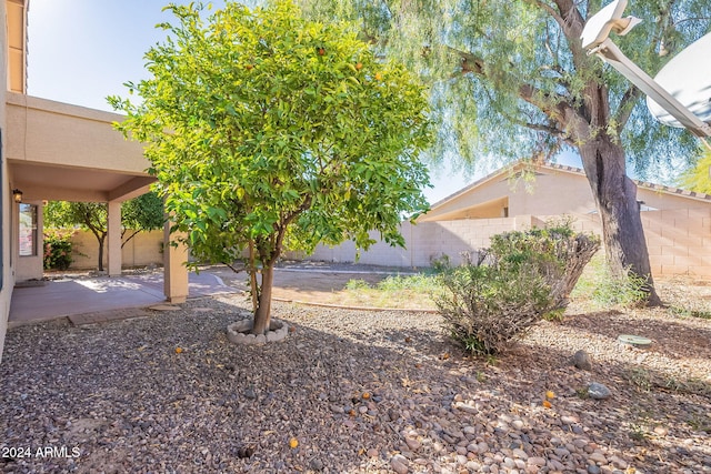 view of yard featuring a patio area