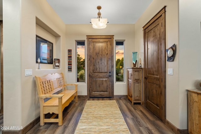 entryway featuring dark hardwood / wood-style flooring