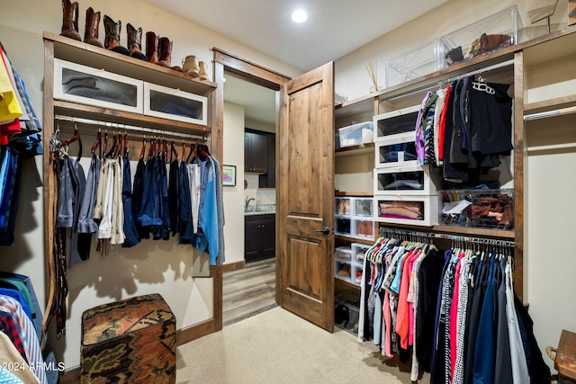 spacious closet with light carpet