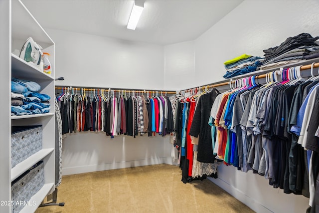 spacious closet featuring carpet floors