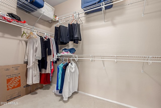 19722 N Regents Park Dr, Surprise, AZ 85387 - spacious closet featuring carpet