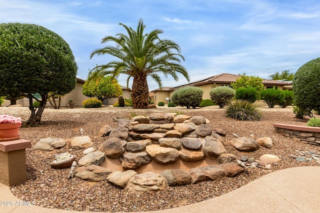 19722 N Regents Park Dr, Surprise, AZ 85387 - view of yard