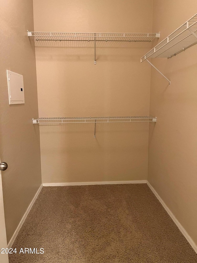 spacious closet with carpet flooring