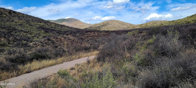 LOT9 W Red Mountain Rd Unit 9, Bisbee AZ, 85603 land for sale