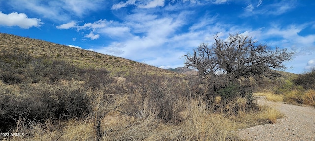 Listing photo 2 for LOT9 W Red Mountain Rd Unit 9, Bisbee AZ 85603