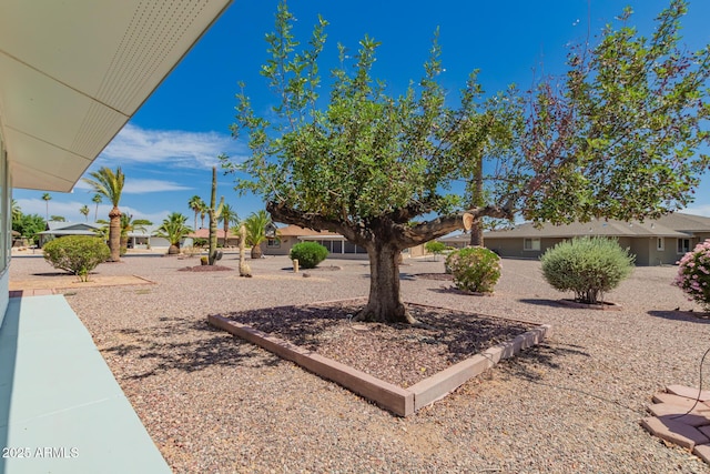 10625 W Chisholm Ct, Sun City, AZ 85373 - view of yard