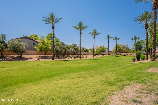 931 S Racine Ln, Gilbert, AZ 85296 - view of green lawn