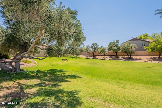 931 S Racine Ln, Gilbert, AZ 85296 - view of grassy yard