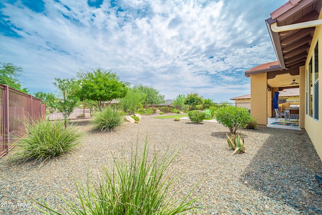 view of yard with a patio