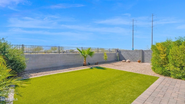 view of yard featuring a fenced backyard