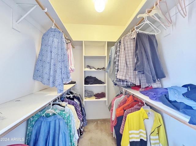 spacious closet with light colored carpet