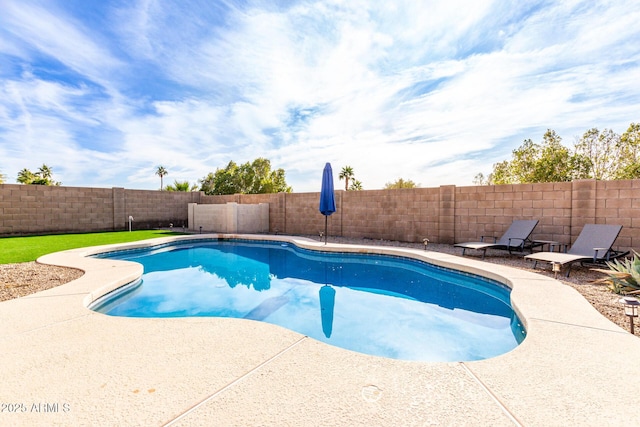 view of swimming pool with a patio area