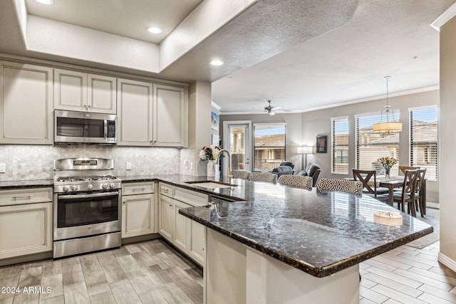 kitchen with a peninsula, crown molding, stainless steel appliances, and a sink