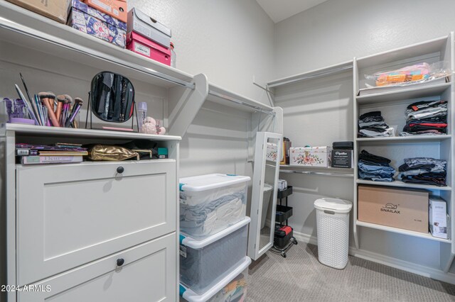 spacious closet featuring light carpet