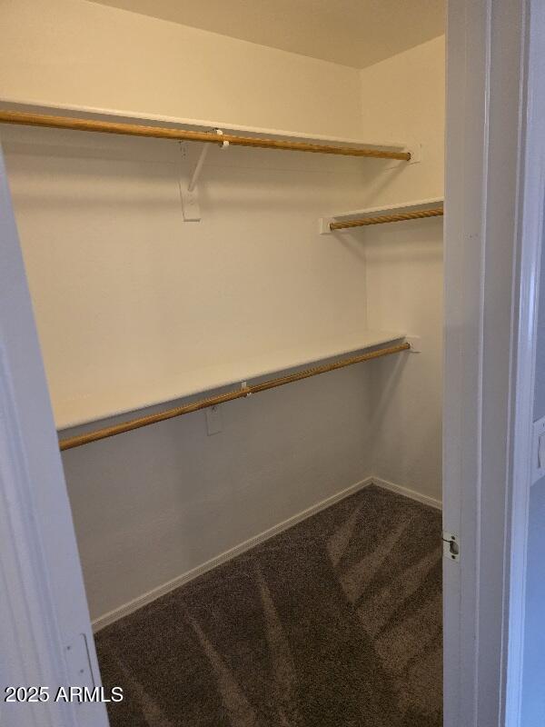 spacious closet featuring carpet