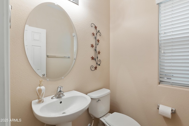 bathroom featuring sink and toilet