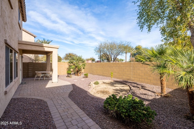 view of yard with a patio area