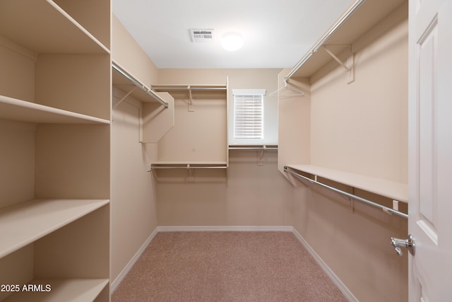 spacious closet featuring carpet floors