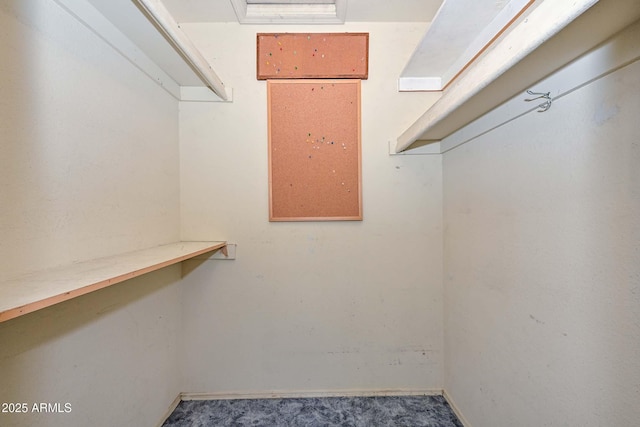 18012 N 37th Dr, Glendale, AZ 85308 - spacious closet featuring carpet flooring