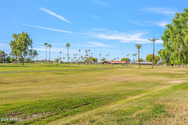 view of community featuring a lawn