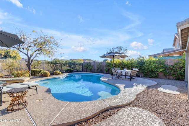 view of pool featuring a patio