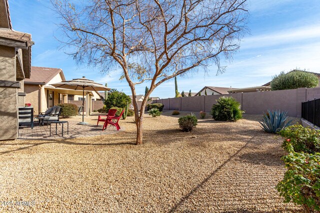 view of yard with a patio