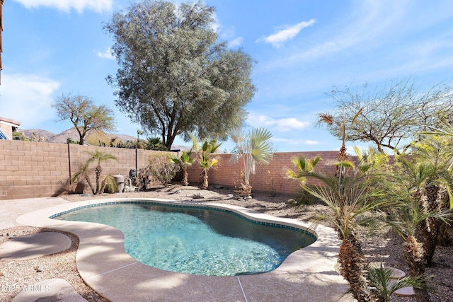 view of pool featuring a fenced backyard and a fenced in pool