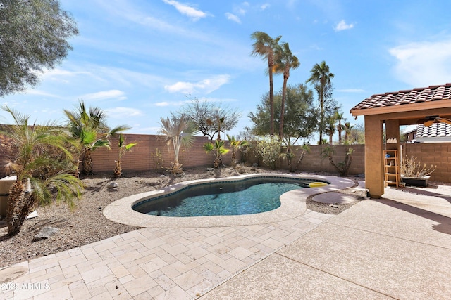 view of pool with a fenced in pool, a fenced backyard, and a patio