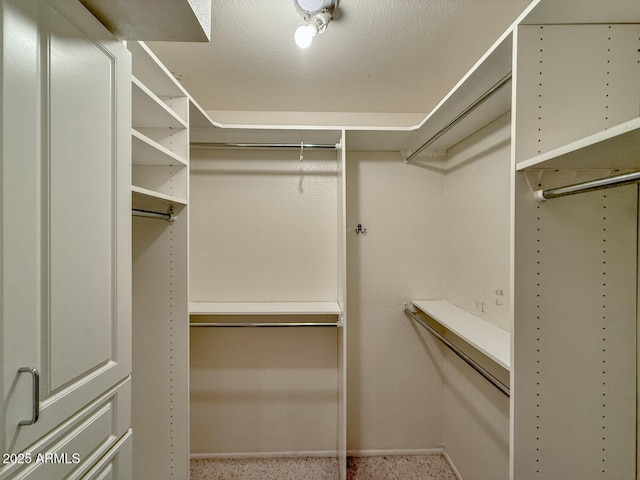 view of walk in closet