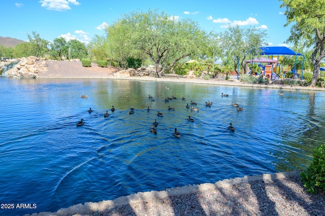 41715 N Raleigh Ct, Anthem, AZ 85086 - water view