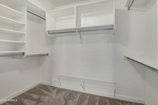 spacious closet featuring carpet floors