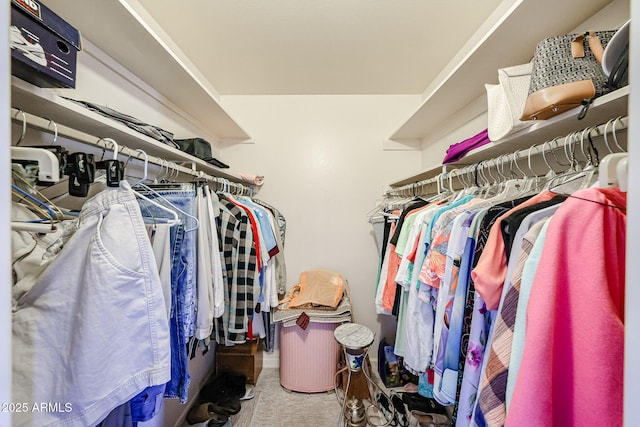 spacious closet with carpet flooring