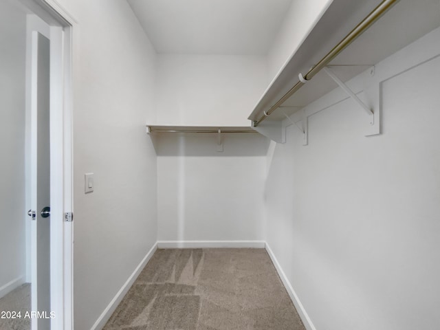 walk in closet with light colored carpet