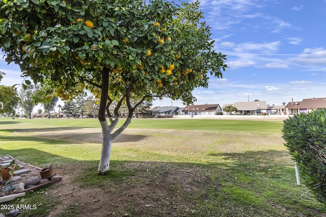 view of community with a yard