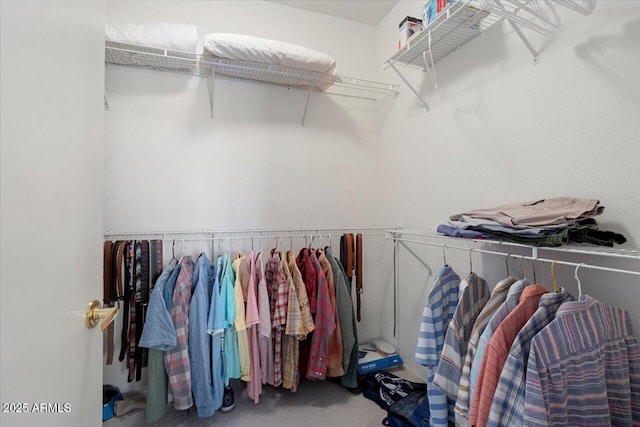 spacious closet featuring carpet flooring